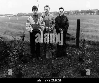 Gilbrook School, Eston, Redcar und Cleveland, North Yorkshire. 27.. März 1990. Pulips vervollendeten ein Programm, um das Erscheinungsbild ihrer lokalen Umgebung zu verbessern. Mehr als 3000 Bäume und Sträucher wurden am Straßenrand und an der Schulgrenze gepflanzt, darunter Eiche, Esche, Eberesche und Weißdorn. Die Bäume wurden vom Economic Development and Planning Department des Cleveland County Council zur Verfügung gestellt. Zu den Freiwilligen gehören (von links nach rechts) Ben Wilkinson, Lee Sinton und Mark Wilson. Stockfoto