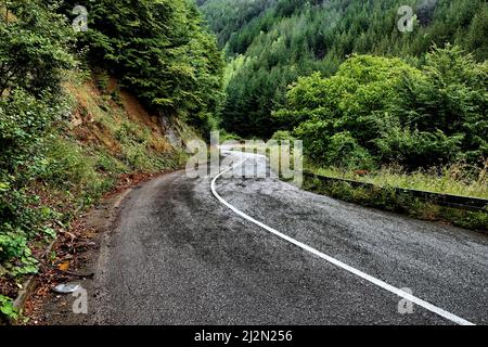 Windige Bergstraße im Kopaonik Nationalpark nach Regen, Serbien Stockfoto