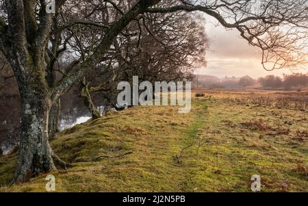 Ein baumbedeckter Pfad am Wasser des Ken-Flusses bei Kendoon bei Sonnenuntergang im Winter Stockfoto