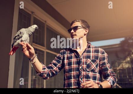Man kann die wirklich Freien nicht zähmen. Aufnahme eines jungen Mannes und eines Afrikanischen Grauen, der auf seiner Hand thront. Stockfoto
