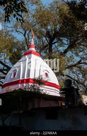 Ort: dehradun uttarakhand Indien. Eine Aufnahme der Spitze einer Tempelkuppel. Stockfoto