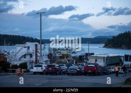 Friday Harbor, WA USA - ca. November 2021: Blick auf die Anlegestelle der Tillikum Washington State Ferry auf der Insel San Juan, die kurz vor dem Entladen ihrer Passagiere steht Stockfoto