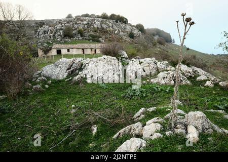 Ländliche Landschaft mit verlassenen Bauernhaus und getrocknete Milchdistel in Nebrodi Park, Sizilien Stockfoto