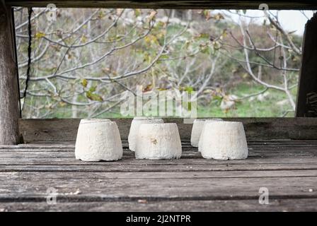 Ricotta Salata ist gesalzene Sorte von Ricotta Molke Käse; auf dem Foto ist es im Freien platziert, um in einem bestimmten Käfig zu trocknen, der es vor der Inse schützt Stockfoto