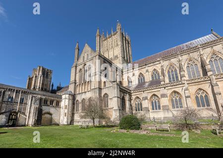 Ein Teil der Wells Cathedral aus einem der Gärten. Stockfoto