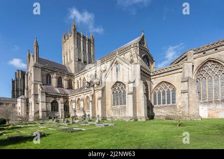 Ein Teil der Wells Cathedral aus einem der Gärten. Stockfoto