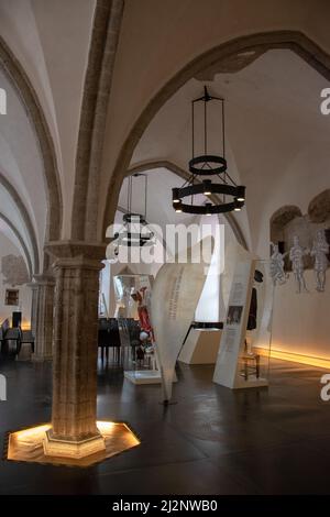 Estnisches Geschichtsmuseum; Große Gildenhalle, Tallinn, Estland, September 21, 2018. Stockfoto