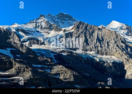 Die Gipfel der Jungfrau und rechts Silberhorn, Grindelwald, Berner Oberland, Schweiz Stockfoto