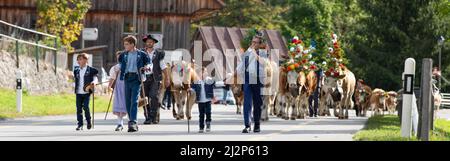 Charmey, Fribourg, Schweiz - 28 September 2019: Landwirte mit einer Herde von Kühen auf der jährlichen Wanderhaltung in Charmey in der Nähe von bulle, Freiburg Zone auf Stockfoto