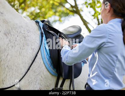 Zeit zum Aufsatteln. Aufnahme einer unkenntlichen Frau, die sich bereit machte, ihr Pferd in der Natur zu reiten. Stockfoto