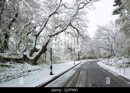 Landschaftlich schöner Blick auf eine Straße in einer winterlichen Landschaft Stockfoto