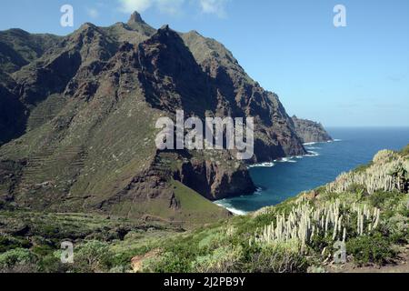 Entlang des Wanderweges nach Playa de Tamadite im Anaga-Gebirge an der Nordküste von Teneriffa, bei Taganana, Kanarische Inseln, Spanien. Stockfoto