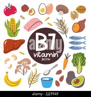 Nahrungsmittel mit hohem Vitamin-B7-Gehalt (Biotin). Zutaten zum Kochen. Obst, Gemüse, Pilze, Nüsse, Milchprodukte, Fisch, Leber. Stock Vektor