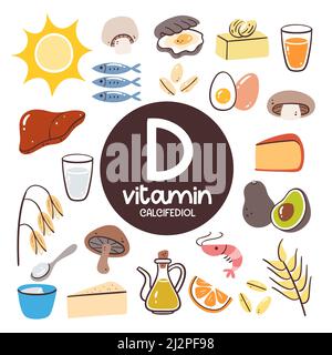 Lebensmittel mit hohem Vitamin D-Gehalt (Calcifediol). Zutaten zum Kochen. Meeresfrüchte, Milchprodukte, Öl, Getreide, Pilze, Eier, Leber Stock Vektor