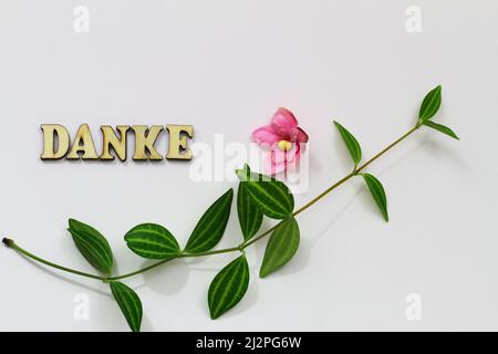 Danke geschrieben mit Holzbuchstaben auf weißem Hintergrund mit grünen Blättern und rosa Blüten Stockfoto