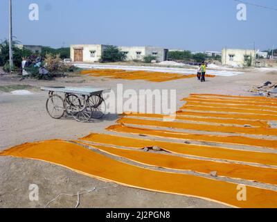 Indien, Gujarat, Großer Rann Von Kutch. Ajrakh Blockdruck in Ajrakhpur Dorf in der Nähe von Bhuj. Gefärbtes Tuch, das in der Sonne trocknet. Stockfoto