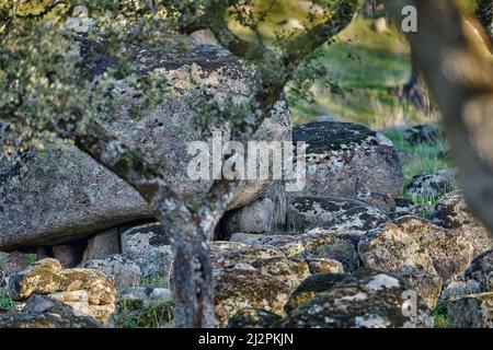 Iberischer Luchs, Lynx Pardinus, endemisch auf der Iberischen Halbinsel im Südwesten Spaniens in Europa. Seltene Katze zu Fuß auf dem Hügel. Lynx in den Bergen, wilde Katze in Th Stockfoto