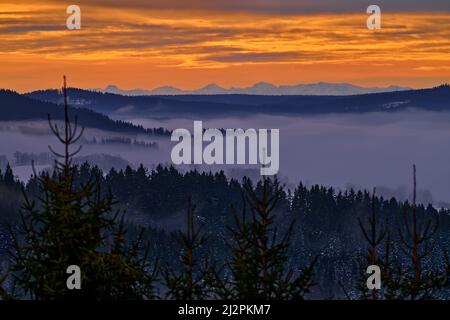 Alpen, Blick Sehenswürdigkeit Grom Sumava NP in Tschechien. Sonnenaufgang orange Berglandschaft, Korunac Hügel in Sumava NP in Europa. Fichte mit Nebel in der Stockfoto