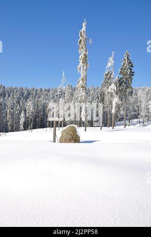 Winter im Bayerischen Wald im Gebiet Bretterschachten,Grosser Arber Bergregion,Bayern,Deutschland Stockfoto