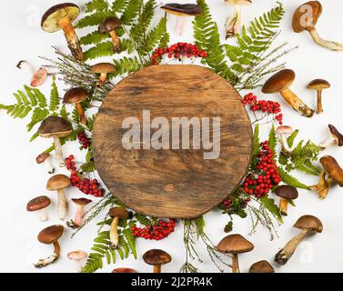 Eine Reihe von verschiedenen essbaren Pilzen. Pilzhintergrund. Essen in Holztablett. Weißer Pilz, Schwungrad, Boletus, Täubling. Draufsicht. Kochen Ernte. Speicherplatz kopieren. Farn, Eberesche, Wald Holzhintergrund. Stockfoto