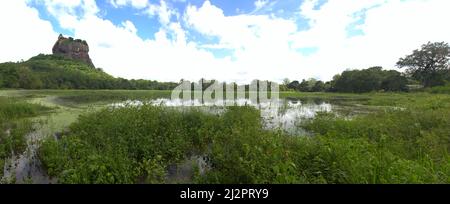 Sigiriya Felsenfestung im Zentrum von Sri Lanka. Natur in der Umgebung: Überwucherter flacher See (niedriges Moor) und tropischer Regenwald Stockfoto