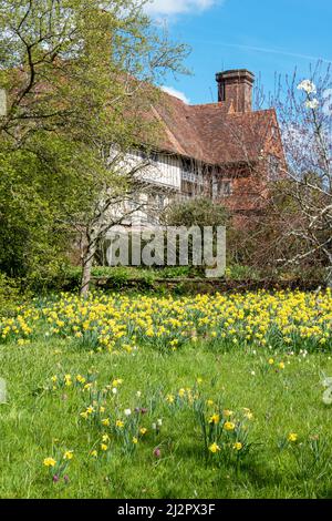 Spring, Great Dixter, Northiam, East Sussex, Großbritannien Stockfoto