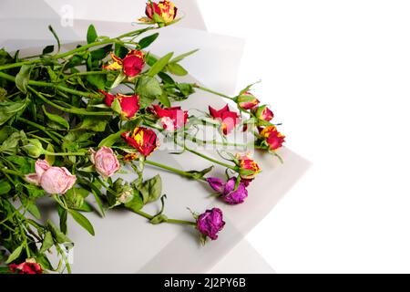 Ausrangierte Bouquet von dekorativen Rosen, getrocknete Blumen auf weißem Hintergrund Stockfoto