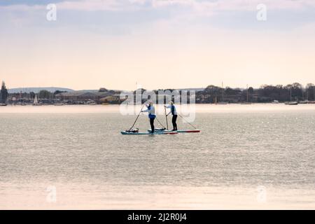 Zwei Stand Up Paddle Boarder in Portsmouth Harbour, Großbritannien. SUP. Stockfoto