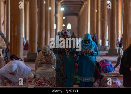 Srinagar, Indien. 03. April 2022. Muslimische Gläubige aus Kaschmir bieten am ersten Ramadan-Tag Mittagsgebete an. Der heiligste Monat des Islam Ramadan ist eine Zeit des intensiven Gebets, des Fastens von Sonnenaufgang bis Sonnenuntergang und der nächtlichen Feste. (Foto von Idrees Abbas/SOPA Images/Sipa USA) Quelle: SIPA USA/Alamy Live News Stockfoto