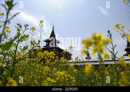 Srinagar, Indien. 03. April 2022. Ein Blick auf Jamia Masjid im Frühling am ersten Tag des Ramadan. Der heiligste Monat des Islam Ramadan ist eine Zeit des intensiven Gebets, des Fastens von Sonnenaufgang bis Sonnenuntergang und der nächtlichen Feste. (Foto von Idrees Abbas/SOPA Images/Sipa USA) Quelle: SIPA USA/Alamy Live News Stockfoto