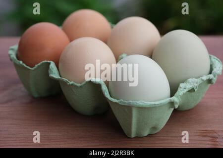 Bio-rohe Hühnereier in einer Papierbox auf dem Holzhinterlauf. Weichfokus Stockfoto