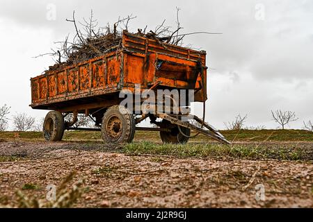 Alter rostiger Anhänger, voller Brennholz Stockfoto