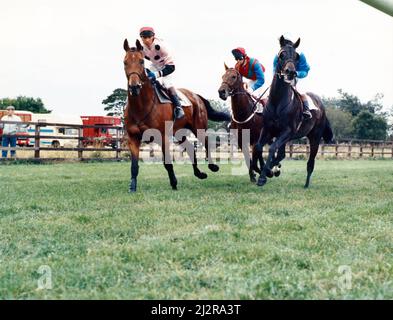 Sedgefield Racecourse ist eine Pferderennbahn südlich der Stadt Durham, in der Nähe des Dorfes Sedgefield, County Durham. 18.. Juni 1993. Stockfoto