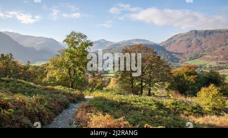 Landschaftsansicht von Grange Fell von Watlendath zum Rosshwaite Path von Grange Fell Borrowdale Lake District National Park Cumbria England Großbritannien Stockfoto