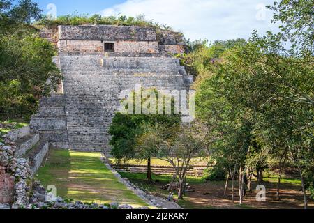 Massive Ruinen der Großen Maya-Pyramide Uxmal mit einem verzierten Tempel auf seinem Gipfel, der mit einer Rankvegetation in Yucatan, Mexiko bedeckt ist Stockfoto