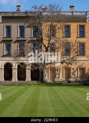 Ockerfarbenes neues Gebäude, das in der georgischen Ära auf dem Campus am Magdalen College der University of Oxford UK erbaut wurde. Stockfoto