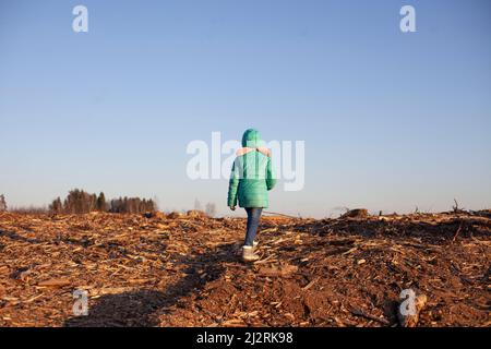 Ein Kind in einem Waldschlag. Umweltkatastrophe und das Mädchen. Kind auf der Baustelle. Das verlorene Mädchen sucht einen Weg. Abenteuer Stockfoto