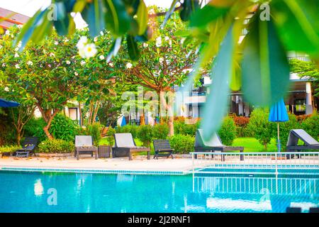 Swimmingpool im tropischen Asien. Sauberes Wasser zum Schwimmen, Sonnenliegen zum Entspannen und tropische Pflanzen im Hintergrund des Hotels. Stockfoto