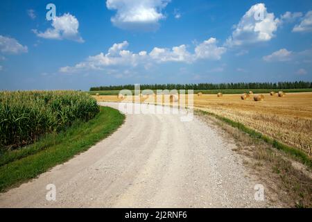 Merkmale auf asphaltierter Sandstraße in ländlicher Umgebung, Straße für den Verkehr in ländlicher Umgebung Stockfoto