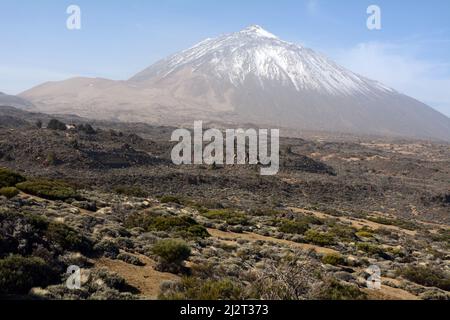 Der Vulkan Teide, der höchste Gipfel Spaniens, im Teide Nationalpark, auf der Atlantikinsel Teneriffa, Kanarische Inseln, Spanien. Stockfoto