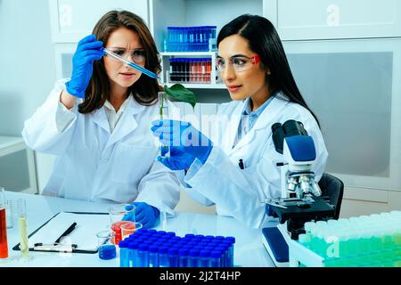 Zwei Wissenschaftlerinnen oder Forscherinnen, die wissenschaftliche Forschung über medizinische Pflanzen in Science Lab holistic Stockfoto