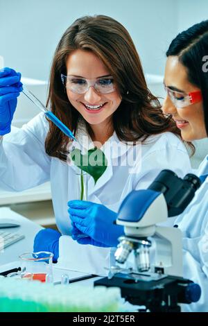 Zwei Wissenschaftlerinnen oder Forscherinnen, die wissenschaftliche Forschung über medizinische Pflanzen im Wissenschaftslabor Pharmaindustrie Gesundheitswesen Nachhaltigkeit Stockfoto