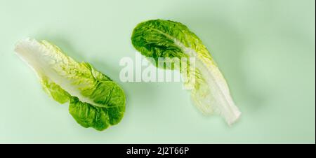 Flat Lay Draufsicht Salat isoliert auf einem minzpastellfarbenen Hintergrund mit einem Schatten. Banner-Orientierung Stockfoto