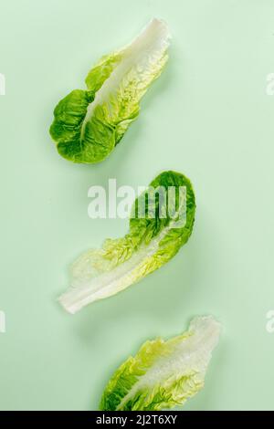 Flacher Salat mit Blick von oben, isoliert auf einem minzpastellfarbenen Hintergrund mit einem Schatten. Horizontale Ausrichtung Stockfoto