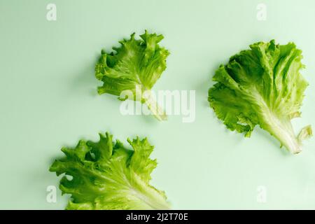 Flacher Salat mit Blick von oben, isoliert auf einem minzpastellfarbenen Hintergrund mit einem Schatten. Horizontale Ausrichtung Stockfoto