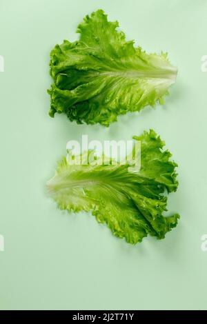 Flacher, frischer Kopfsalat mit Blick von oben. Salatblatt. Salat isoliert auf Minze Hintergrund. Stockfoto