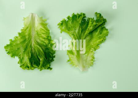 Flacher Salat mit Blick von oben, isoliert auf einem minzpastellfarbenen Hintergrund mit einem Schatten. Horizontale Ausrichtung Stockfoto