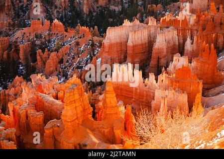 Bryce Canyon National Park im Süden von Utah Stockfoto