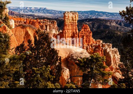 Bryce Canyon National Park im Süden von Utah Stockfoto