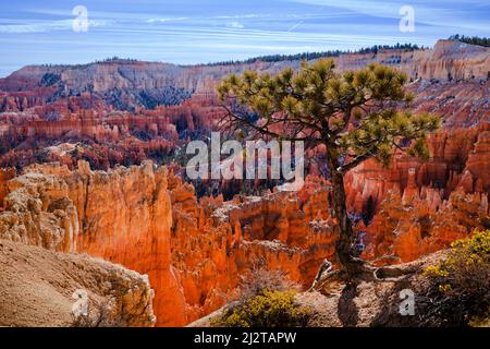 Bryce Canyon National Park im Süden von Utah Stockfoto